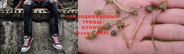 каннабис Алзамай
