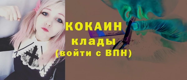 крисы Абаза