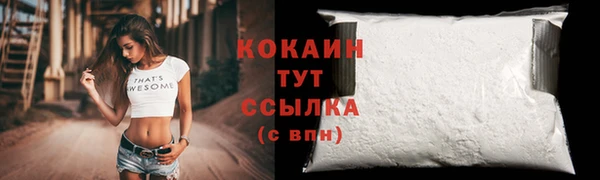 jwh Пересвет