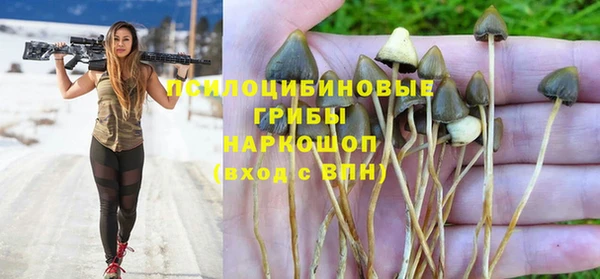 прущая мука Переславль-Залесский
