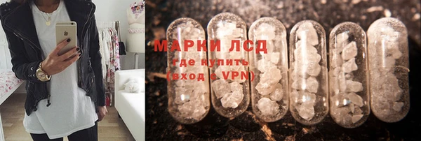 крисы Абаза