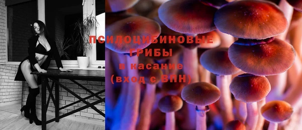 mdpv Пестово