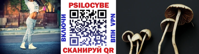 Галлюциногенные грибы Cubensis  Западная Двина 