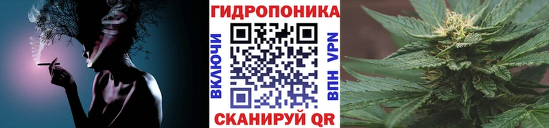 купить наркотики сайты  OMG зеркало  Бошки Шишки Amnesia  Западная Двина 